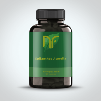 Spilanthes Acmella gélules capsules pas cher 120