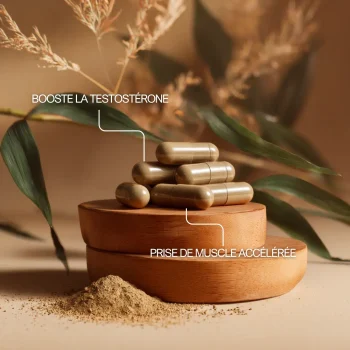 Fadogia agrestis en gélules pour la prise de muscle accélérée et le boost de testostérone