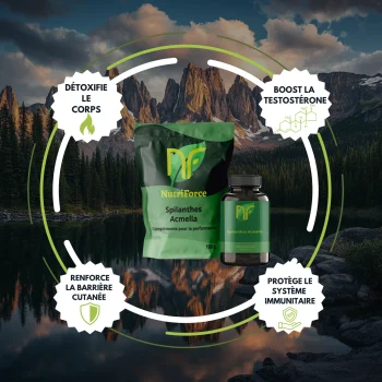 bienfaits Spilanthes acmella