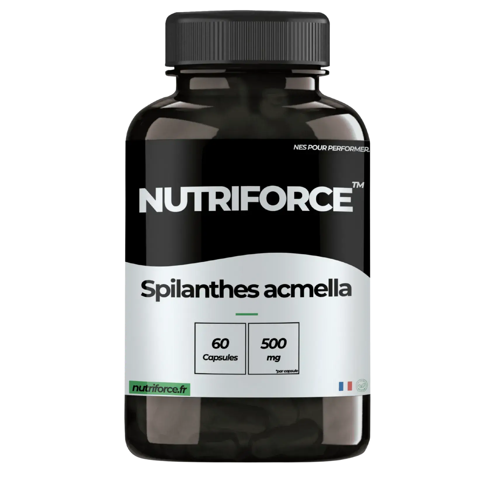 Spilanthes acmella pharmacie, complément alimentaire, gélules avec de nombreux bienfaits