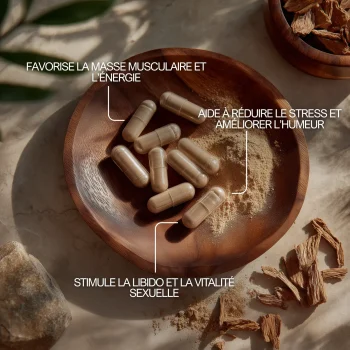 Tongkat ali pour augmenter la prise de masse, la libido et la réduction du stress
