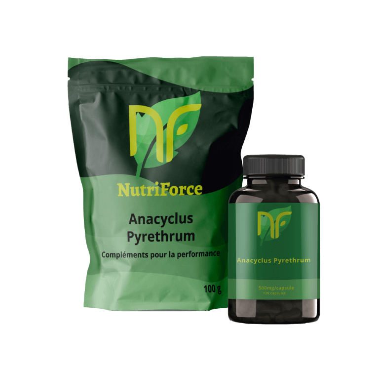 anacyclus Pyrethrum, akarkara, pyréthre d'afrique en poudre capsules ou gélules pas cher