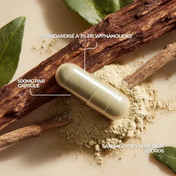 gélule d'ashwagandha withania de la pharmacie nutriforce