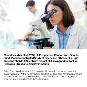 Étude Chandrasekhar 2012, essai randomisé en double aveugle contre placebo mené soixante jours sur un extrait de racine d'ashwagandha à haute concentration