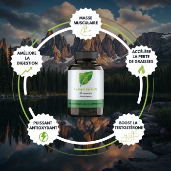 bienfaits fadogia agrestis