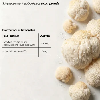 Tableau nutritionnel du Lion's mane Nutriforce pour une capsule : 500 mg d'extrait d'Hericium erinaceus au ratio 20:1, dont 5 mg d'héricénones