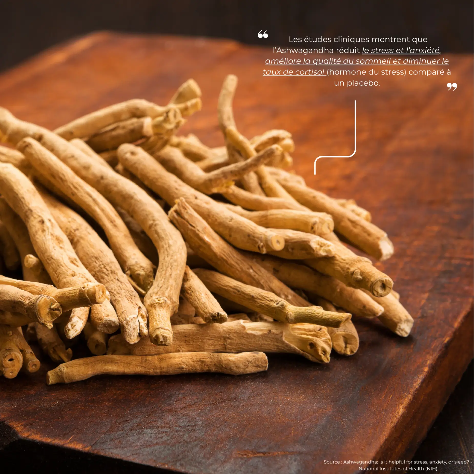 racine d'ashwagandha withania nutriforce france en pharmacie et livraison