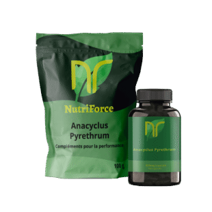 anacyclus Pyrethrum, akarkara, pyréthre d'afrique en poudre capsules ou gélules pas cher