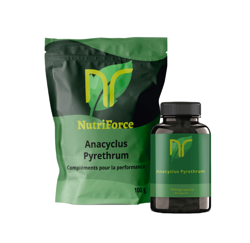 anacyclus Pyrethrum, akarkara, pyréthre d'afrique en poudre capsules ou gélules pas cher