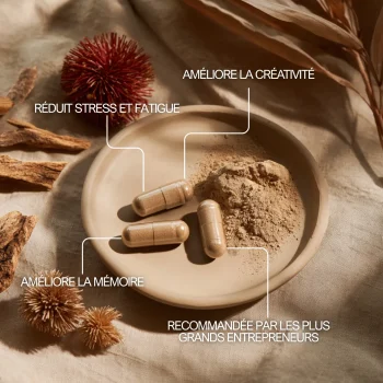 rhodiola rosea bio en pharmacie bienfaits