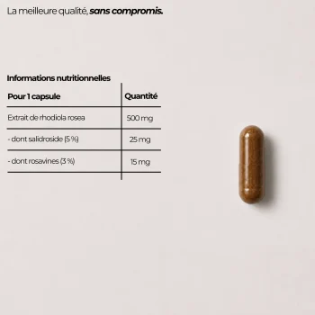 Tableau nutritionnel de la Rhodiola rosea Nutriforce pour une capsule : 500 mg d'extrait, dont 25 mg de salidroside à 5 % et 15 mg de rosavines à 3 %