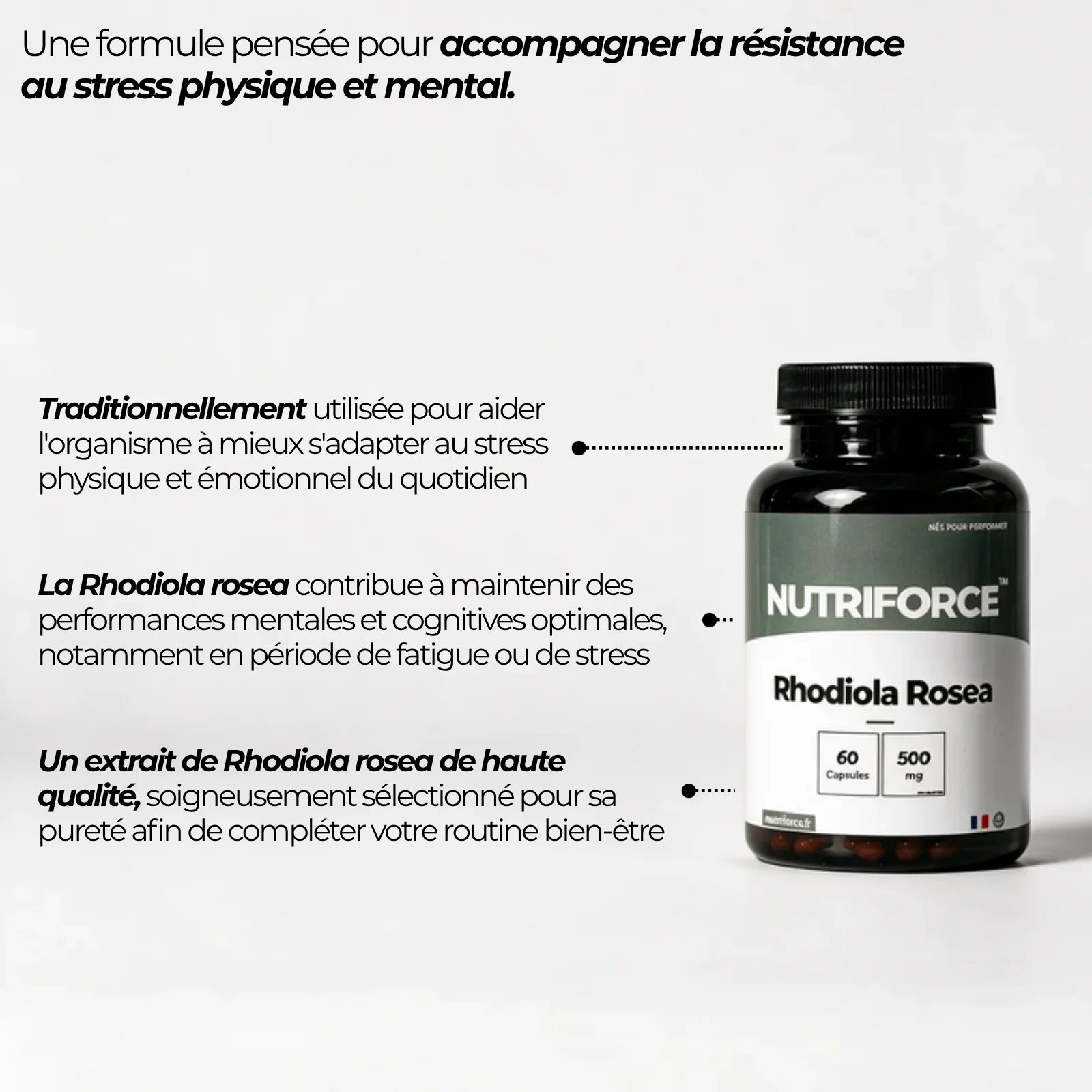 Pot de Rhodiola rosea Nutriforce et ses points clés : une plante traditionnellement utilisée, extrait standardisé à 5 % de salidroside et 3 % de rosavines