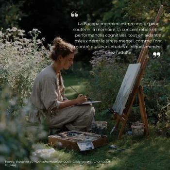 Étude clinique réalisée par Nutriforce sur le bacopa monnieri
