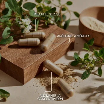 Bacopa monnieri pour augmenter la concentration, réduire le stress et améliorer la mémoire
