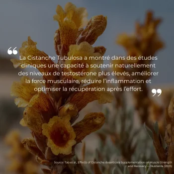 Étude clinique réalisée par Nutriforce sur la cistanche tubulosa