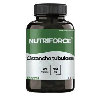 Cistanche tubulosa, pharmacie, complément alimentaire avec de nombreux bienfaits