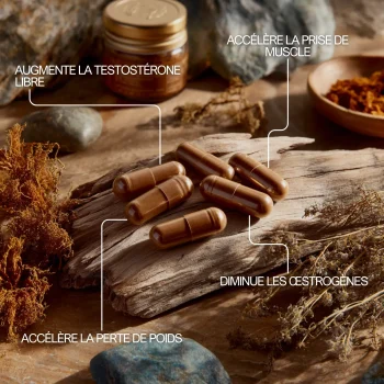 Cistanche Tubulosa, augmentation de la testostérone, perte de poids, accélère prise de muscle