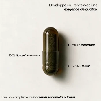 Gélule de Bacopa monnieri Nutriforce et ses repères qualité : développée en France, testée en laboratoire, certifiée HACCP et sans métaux lourds