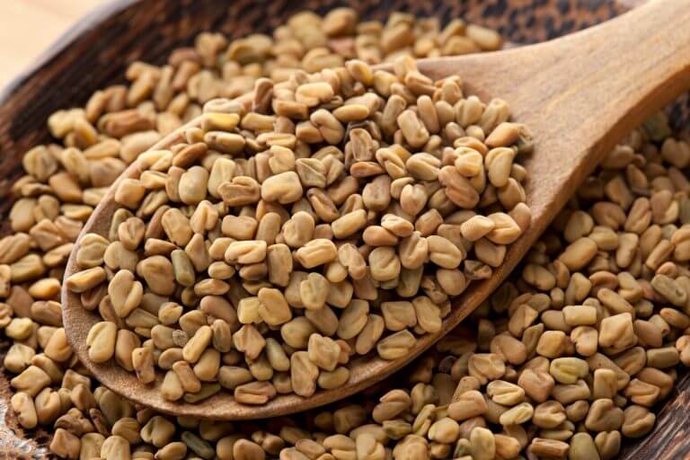 Tout savoir sur le fenugrec : Un complément alimentaire aux très nombreux bienfaits