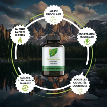 bienfaits EPICATÉCHINE