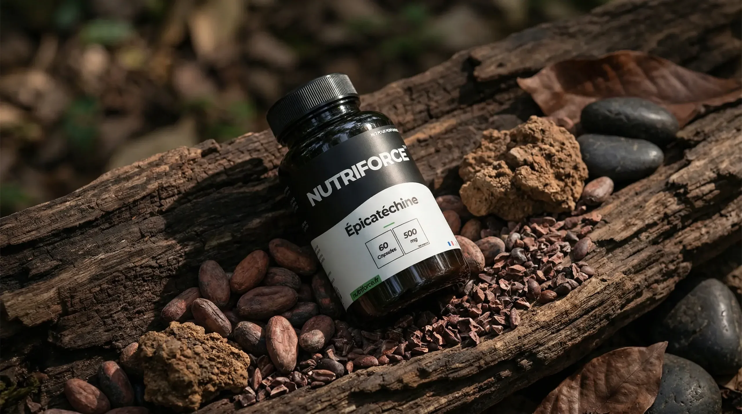 complément alimentaire d'épicatéchine pour bloquer la myostatine