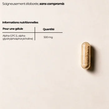 Tableau nutritionnel de l'Alpha-GPC Nutriforce pour une gélule : 500 mg de L-alpha-glycérylphosphorylcholine, un seul actif et rien d'autre