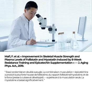 épicatéchinr pour la musculation