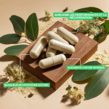 épicatéchine pure en gélule, poudre et capsules pour la musculation et la myostatine