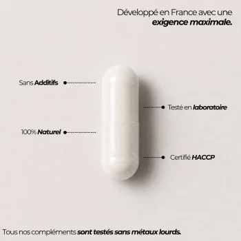 gélule d'épicatéchine pour bloquer la myostatine