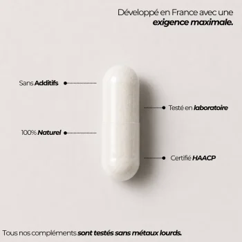 gélule d'épicatéchine pour bloquer la myostatine