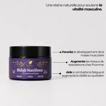 composition de larésine de shilajit d' l'himalaya