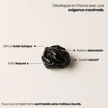 bienfaits du shilajit nutriforce