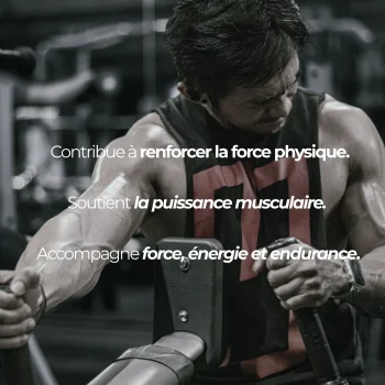 shilajit pour la testostérone et la musculation