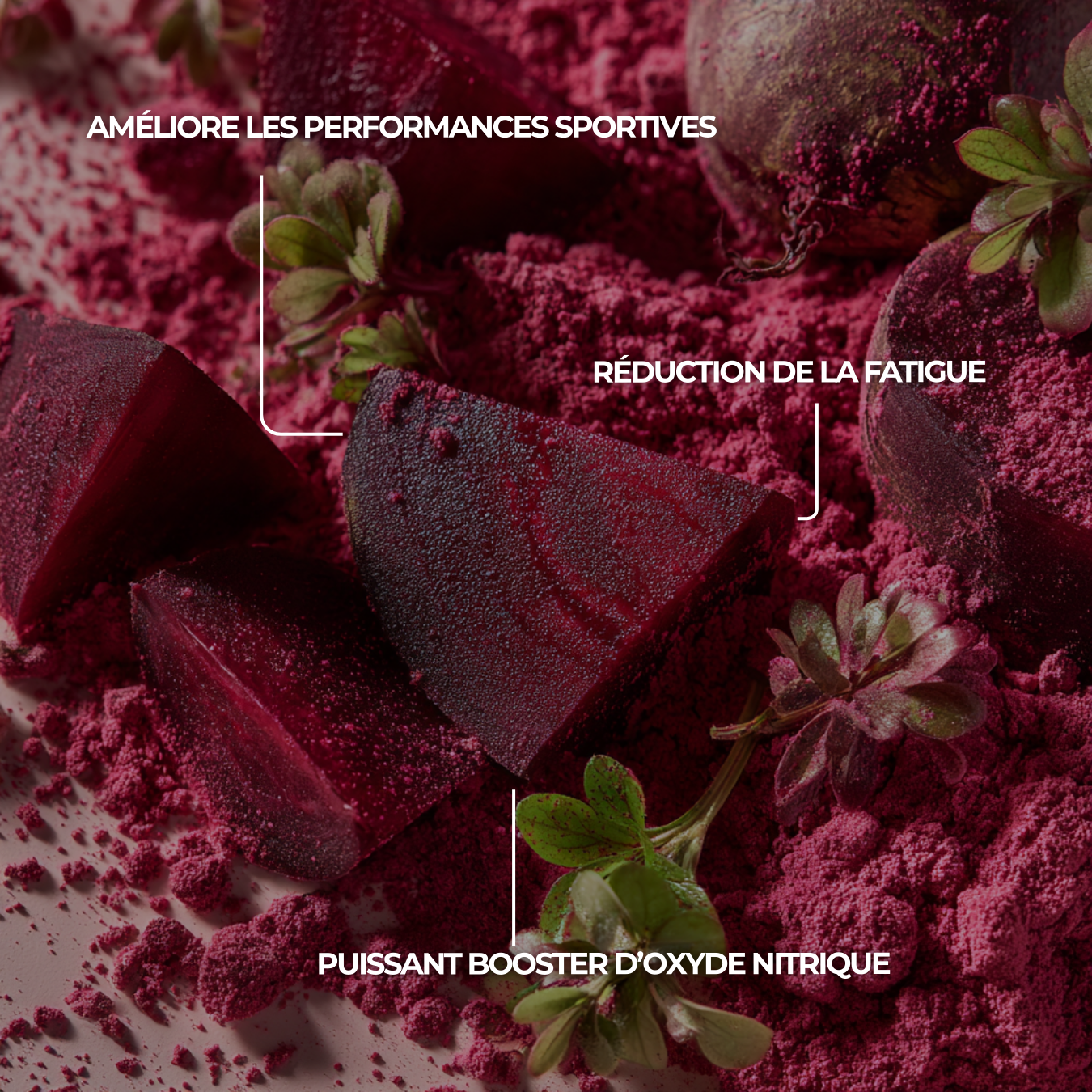 Liste des spécificités et bienfaits santé de la betterave rouge