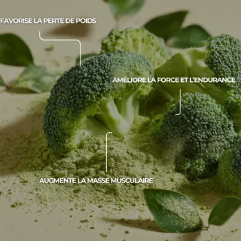 études cliniques sulforaphane bienfaits brocolis