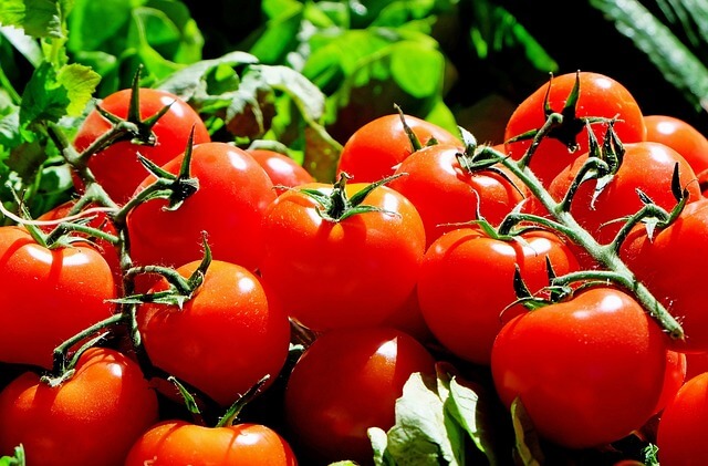 photo de tomate qui contiennent du lycopène ou lycopene utile en musculation, sans dangers ni effets secondaires et avec beaucoup de bienfaits