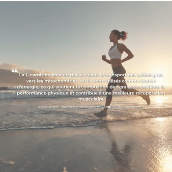 Étude clinique réalisée par Nutriforce sur l'Acetyl-L-carnitine