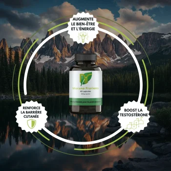 bienfaits Mucuna Pruriens