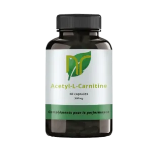 boite de capsules d'acetyl L carnitine pour la musculation et ses effets puissants nootropique sans danger et avec avis positifs forum difference acetyl l carnitine et carnitine