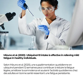 Étude Mizuno et al. 2020 publiée dans Nutrients : 12 semaines d'ubiquinol chez des adultes en bonne santé ressentant une fatigue légère, résumé de l'étude