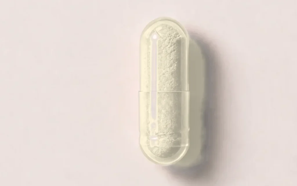 Gélule de coenzyme Q10 Nutriforce : poudre d'ubiquinol blanc cassé dans une gélule transparente en HPMC