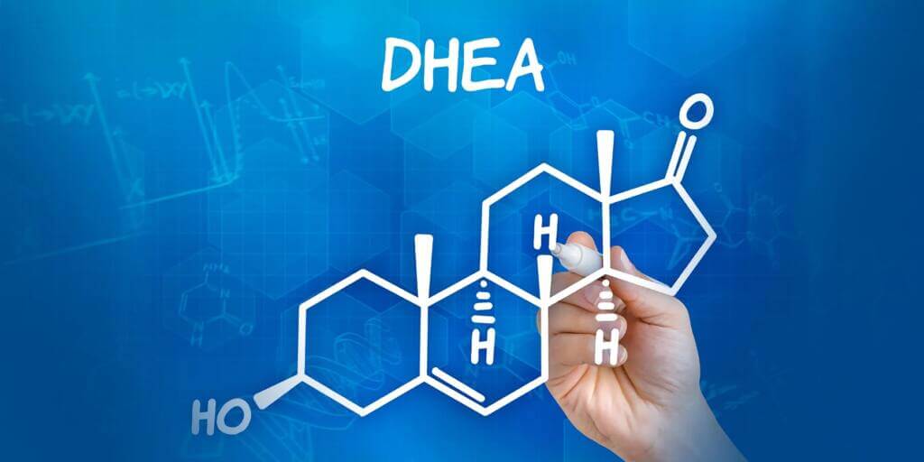 La DHEA est une hormone clé dans la fertilité chez l'homme et la femme, elle permet la synthèse de testostérone et l'augmentation de la force en musculation