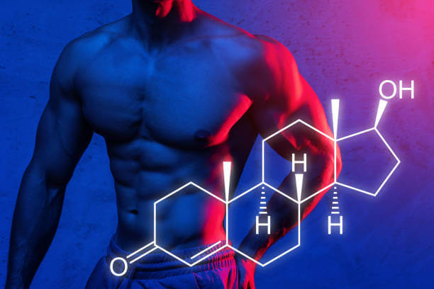 La DHEA est importante pour augmenter les niveaux de testostérone en musculation, cela permet une meilleure fertilité chez l'homme comme chez la femme