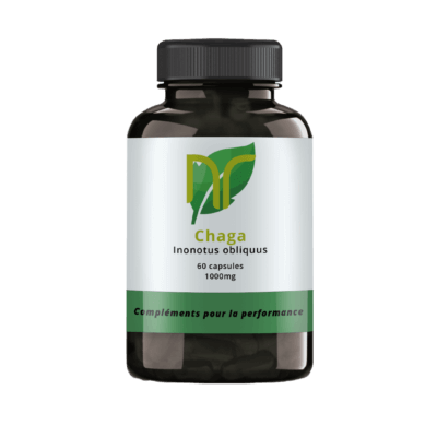 Chaga de qualité chez nutriforce pas cher