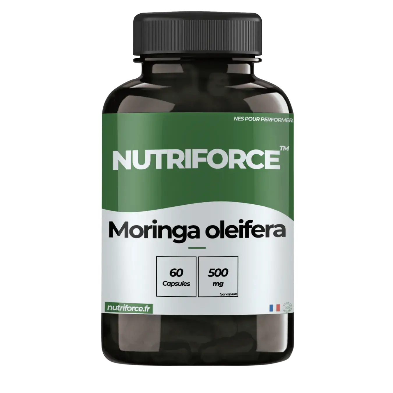 moringa oleifera