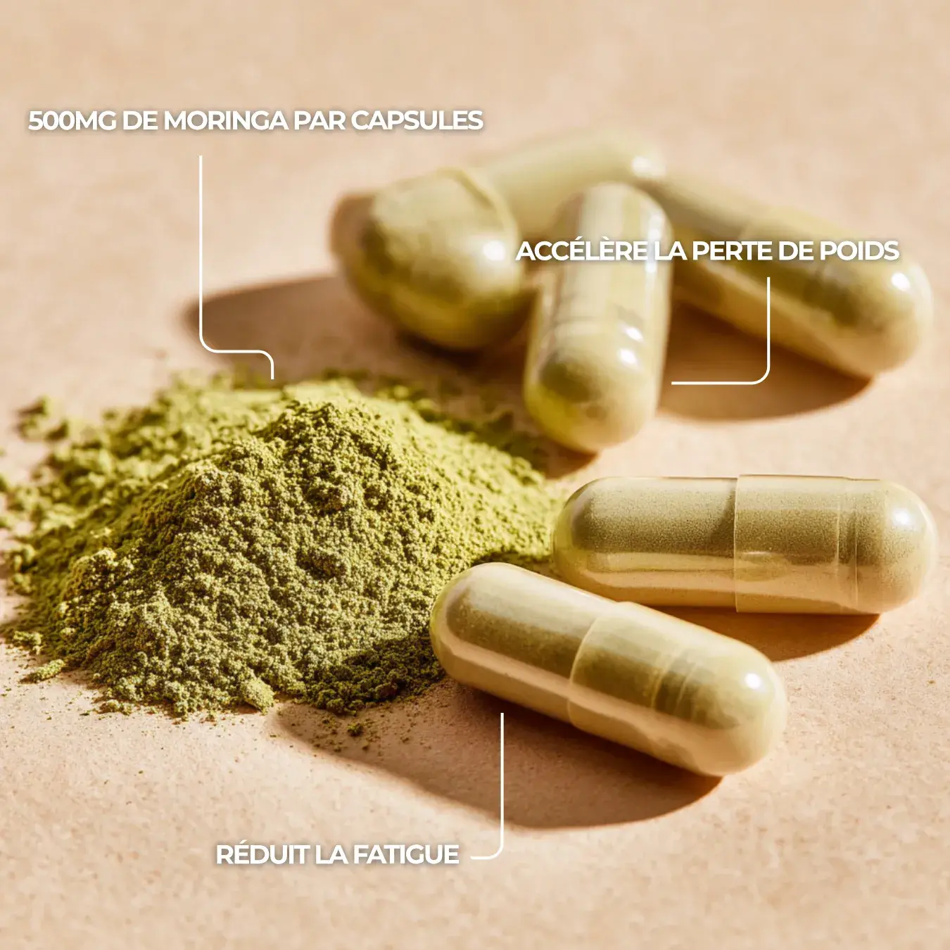 Moringa oleifera – Image 5