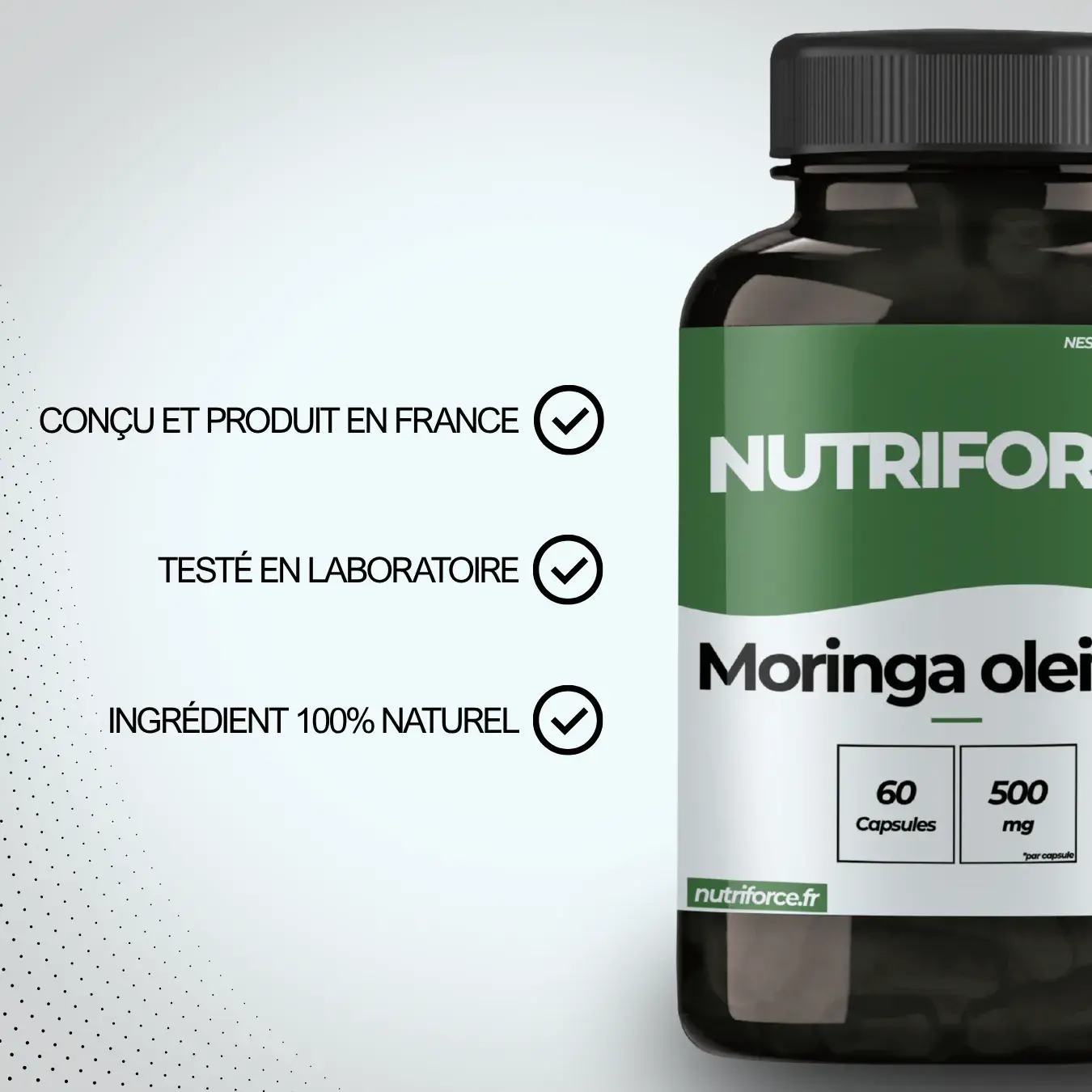 Moringa oleifera – Image 4