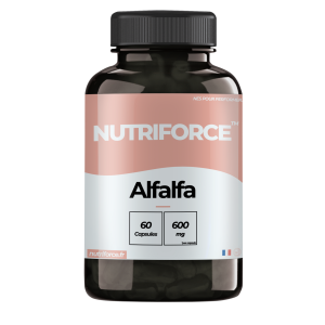 Alfalfa