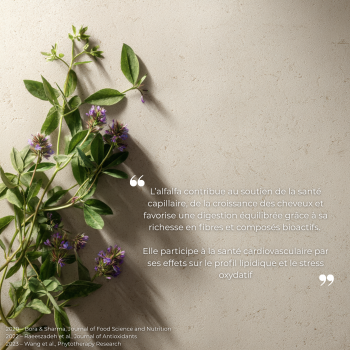 Étude clinique réalisée par Nutriforce sur l'alfalfa