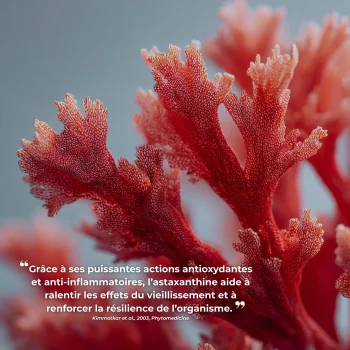 Étude clinique réalisée par Nutriforce sur la astaxanthine